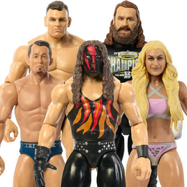 WWE Basic Figure Series 145 Action Figure